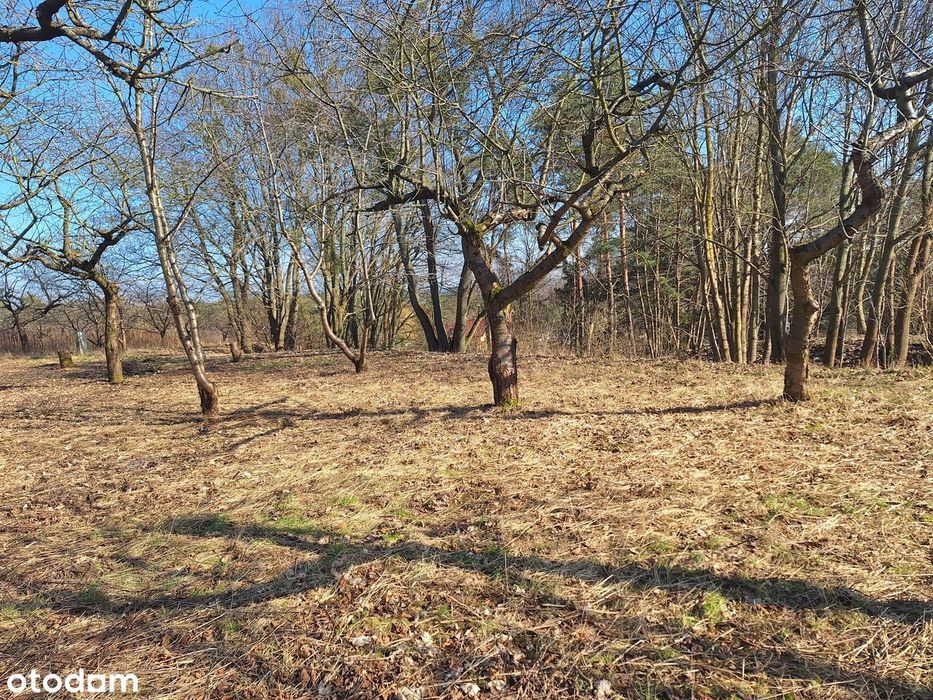 Działka PREMIUM z urzekającym widokiem na Las i dolinę rzeki Brdy. - Widok 3