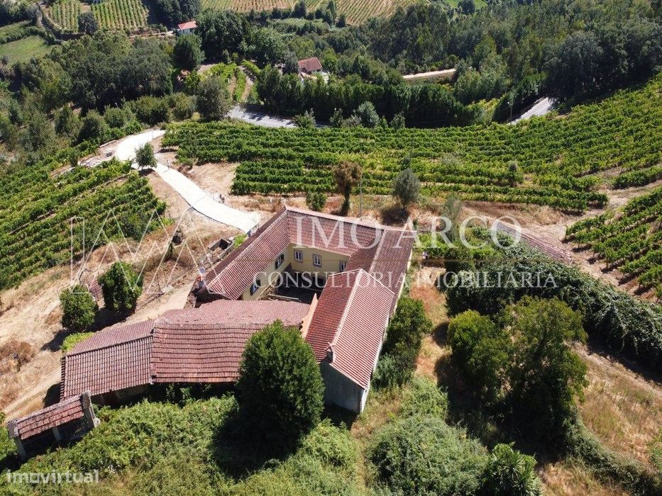 Quinta Da Crujeira
