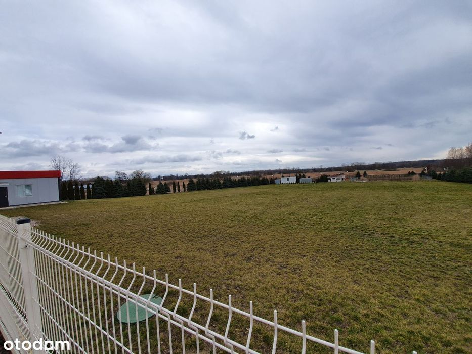 Teren do wynajęcia 7 400 m² z budynkiem 48 m² Gołków
