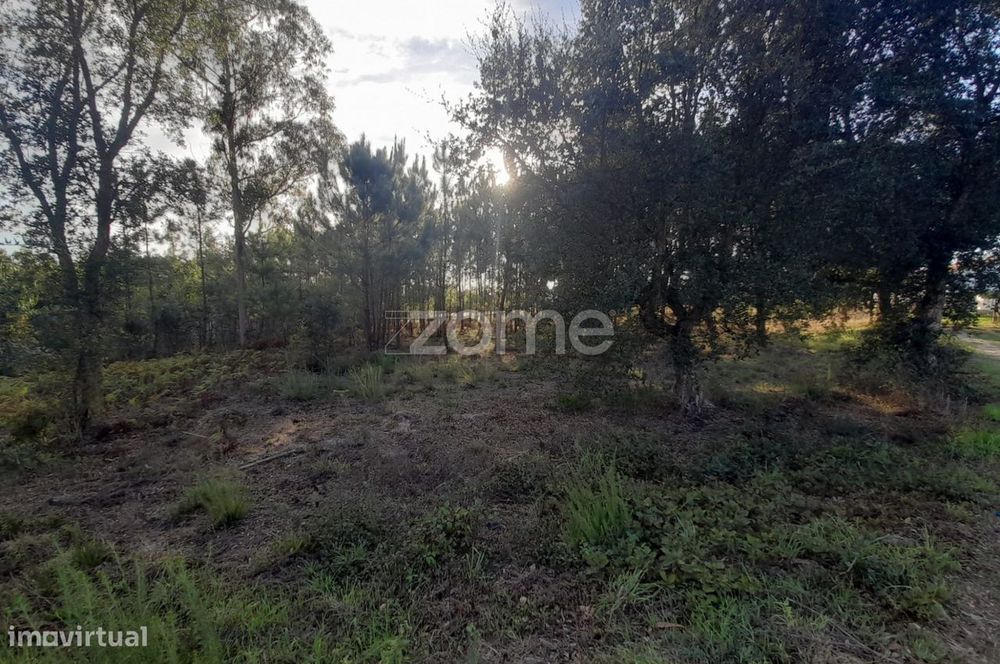 Terreno Rustico