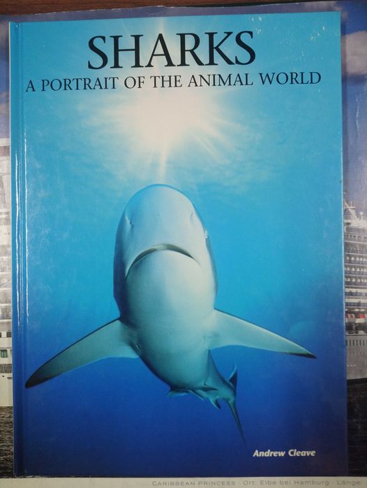 Livros sobre TUBARÕES / SHARK