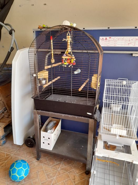 Gaiola grande  para pássaros