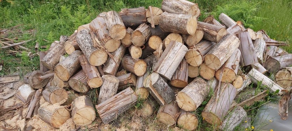 Venda de lenha com qualidade