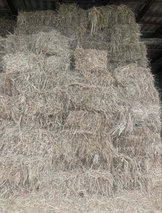 Продам тюки сіна