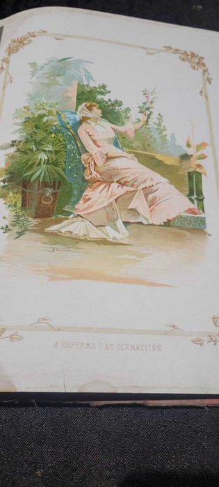 Livro Raro (1884) - A Vida das Flores (Les Fleurs Animées) - Volume II