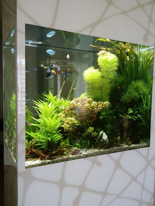 Изготовление аквариумов на заказ, дизайн, обслуживание аквариумов