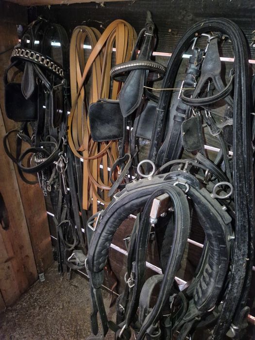 Matérial de cavalos