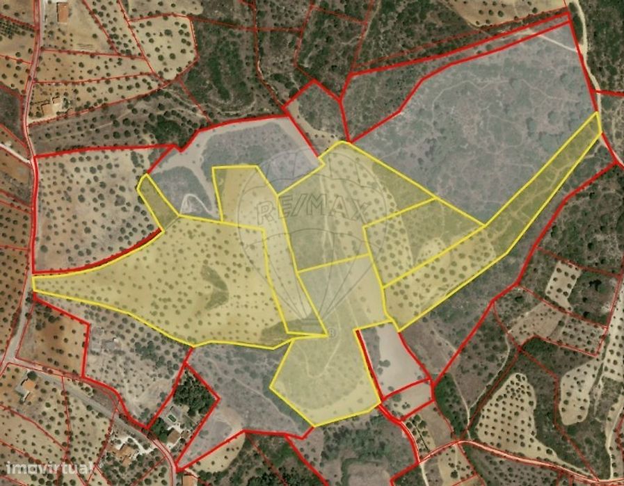 Terreno  para venda — Torres Novas (São Pedro), Lapas E Ribeira Branca, Santarém