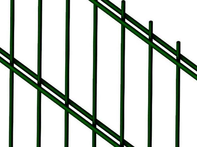 Panel ogrodzeniowy PREMIUM 2D 6/5/6 Prosty bez przetłoczeń 143cm RAL