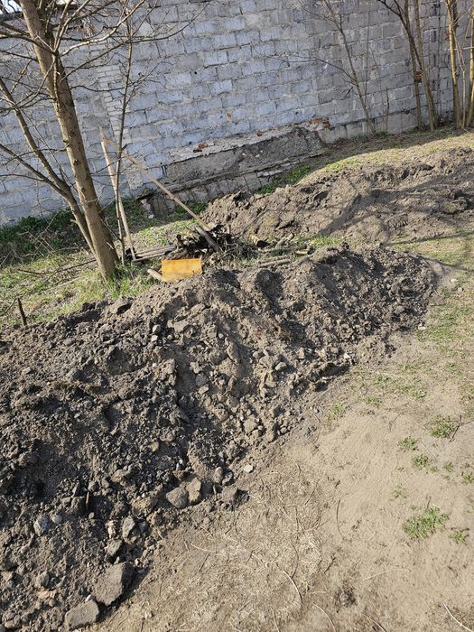 Oddam ziemię za darmo