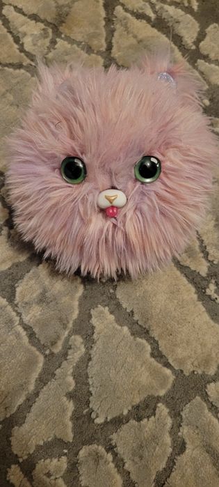 Fur FLUFFS kotek