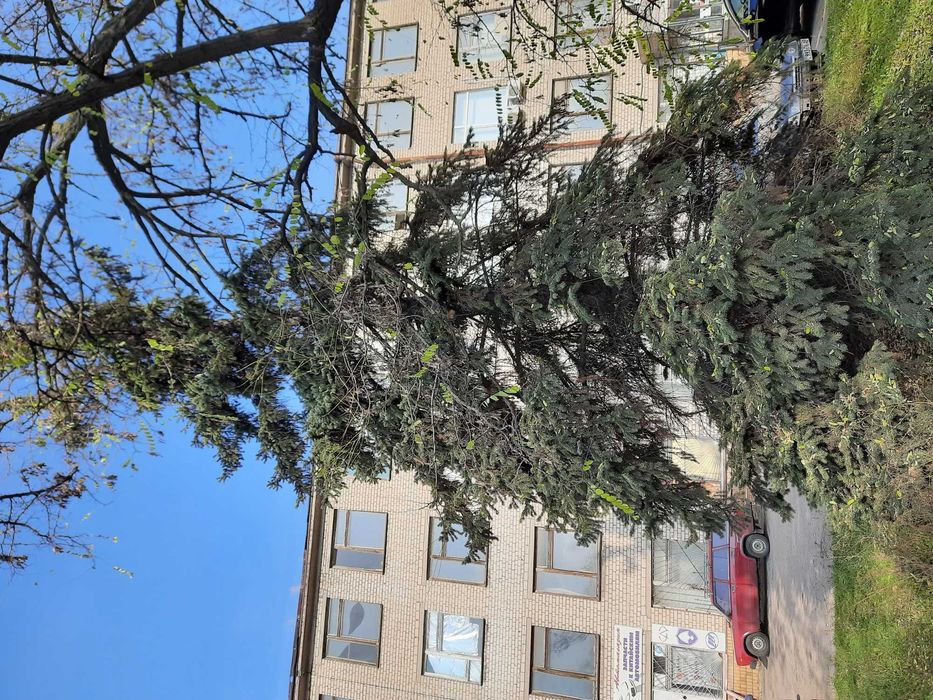 Продам 4х этажное здание  ул. Днепросталевская. Левый берег