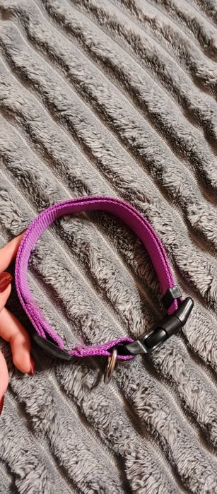 Ошейник для собак середніх порід