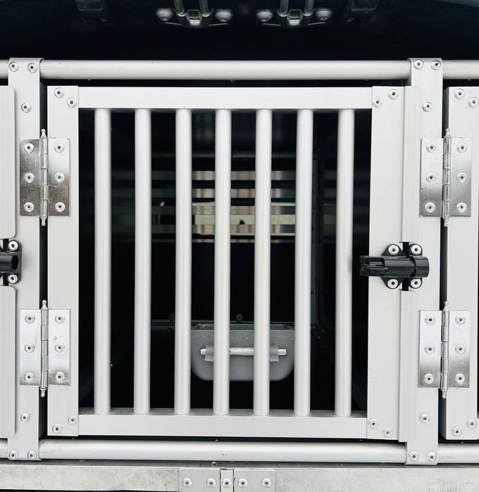 Курʼєрська доставка тваринок