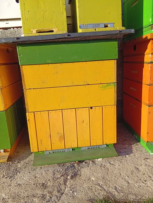 Ule wielkopolskie 12 ramkowe