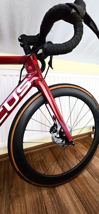 Focus Izalco 8.8 Max M idealny