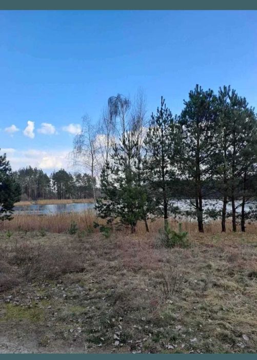 Продам ділянку 1га, на березі озера в оточені ліса