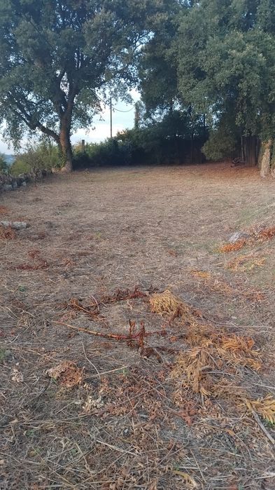 Limpeza de terrenos