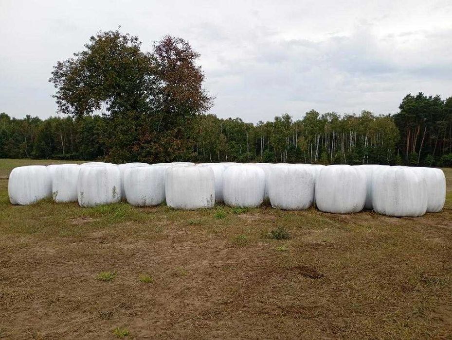 Sprzedam sianokiszonkę