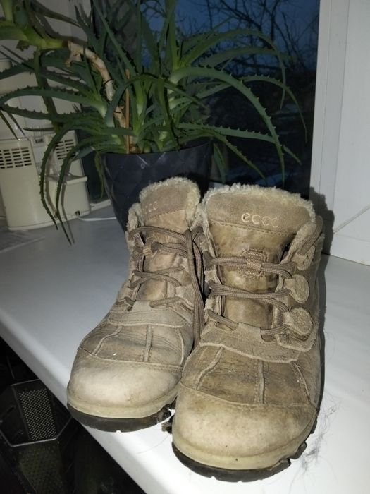 Продам ботинки Экко 36 размер зима