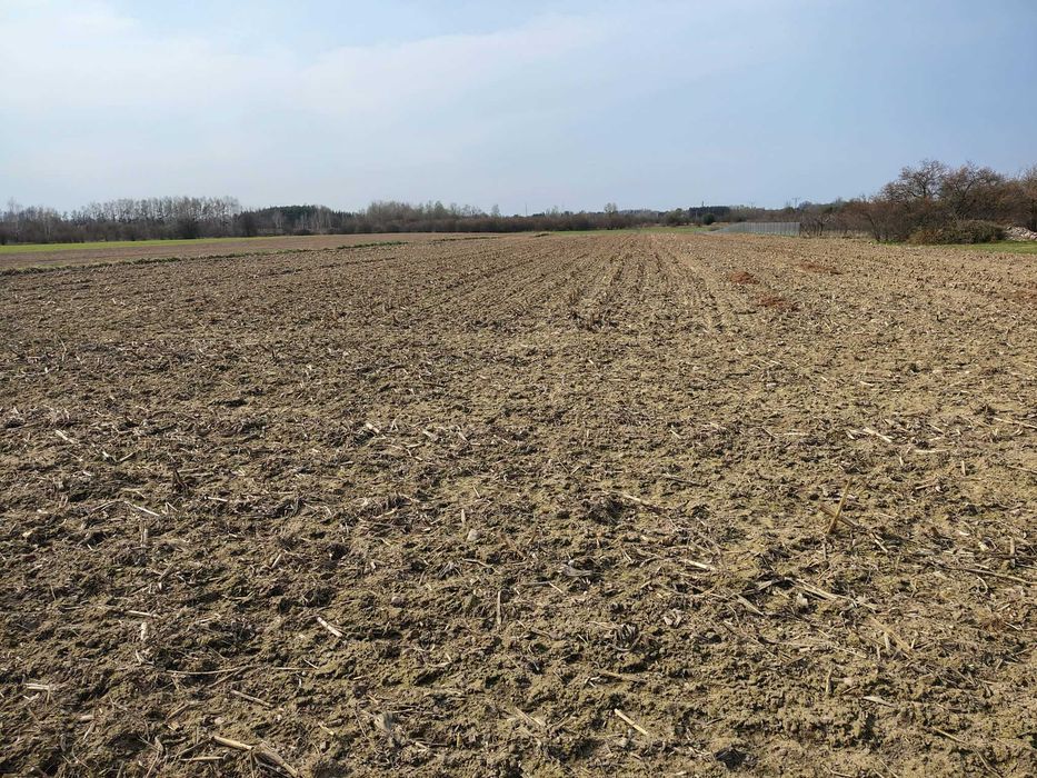 Sprzedaż 7 działek budowlanych – Rokotów, gm. Nowa Sucha - Widok 3