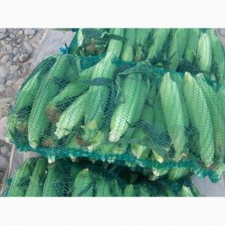 Сетка полипропиленовая для овощей, кукурузы и др. Качество, цена!