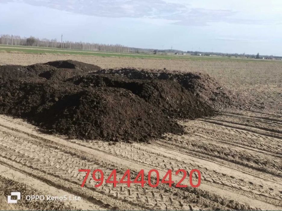 Podłoże popieczarkowe kompost z pieczarek