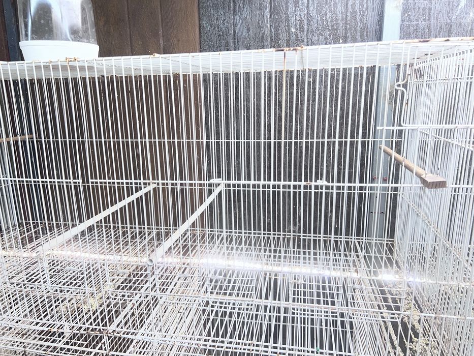 Gaiolas para aves