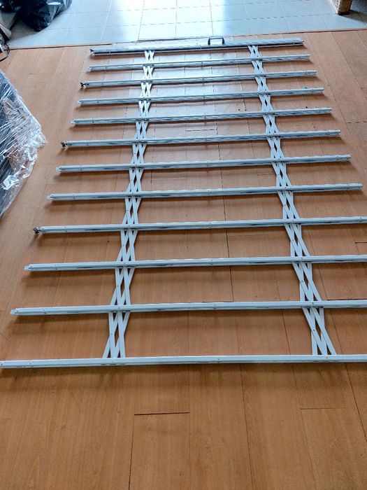 2 Window Lizards. Dimensions: 2.50×1.6064552024614787122