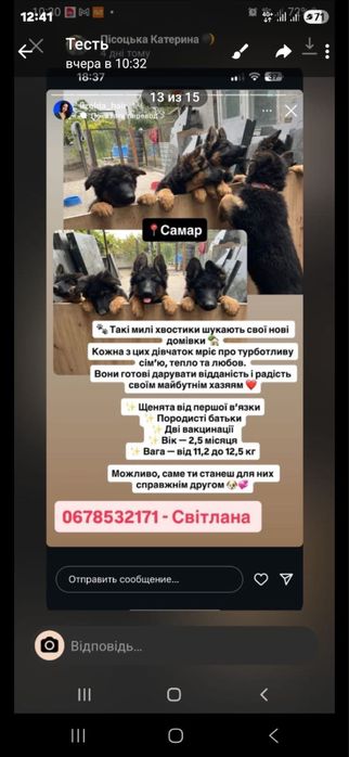 Продам цуценят німецької вівчарки