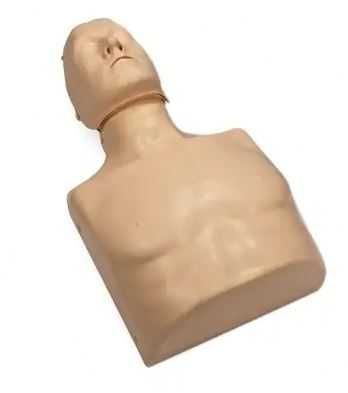 Aluguer Manequim SBV Adulto e Pediátrico