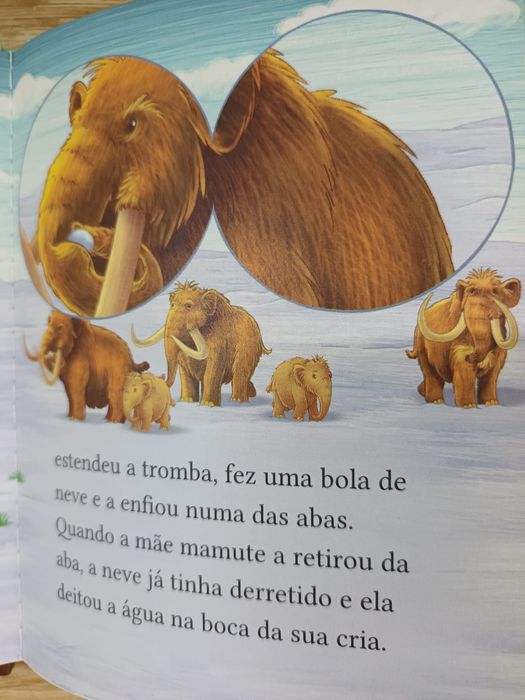 As Aventuras dos Gêmeos Pinheiro Bravo