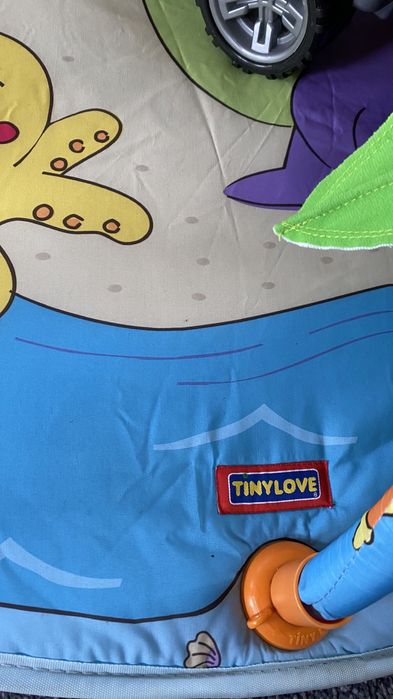 Розвиваючий килимок з дугами Tiny Love
