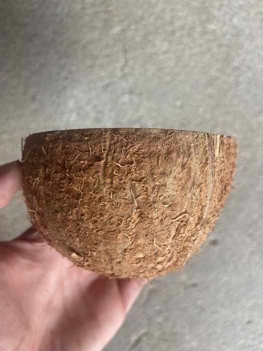 Vendo 300 metades de casca de coco