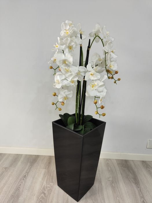 Vaso com orquídea