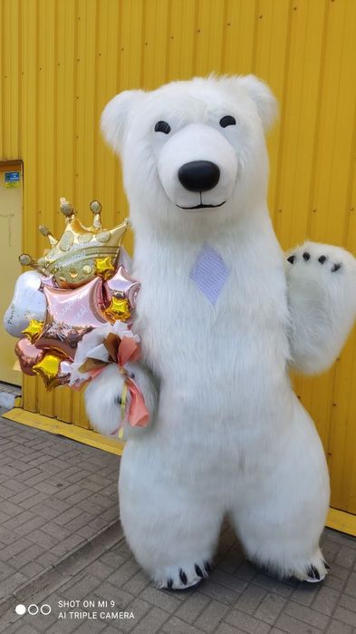 Привітання від ведмедика Аніматори Мішка Мишка поздравление Запорожье