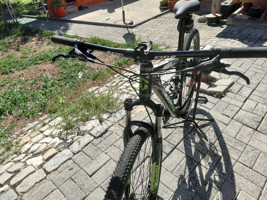 Coluer Ascent  29"