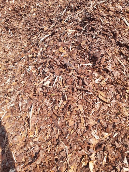Kora sosnowa świeża gruba na worki 80l