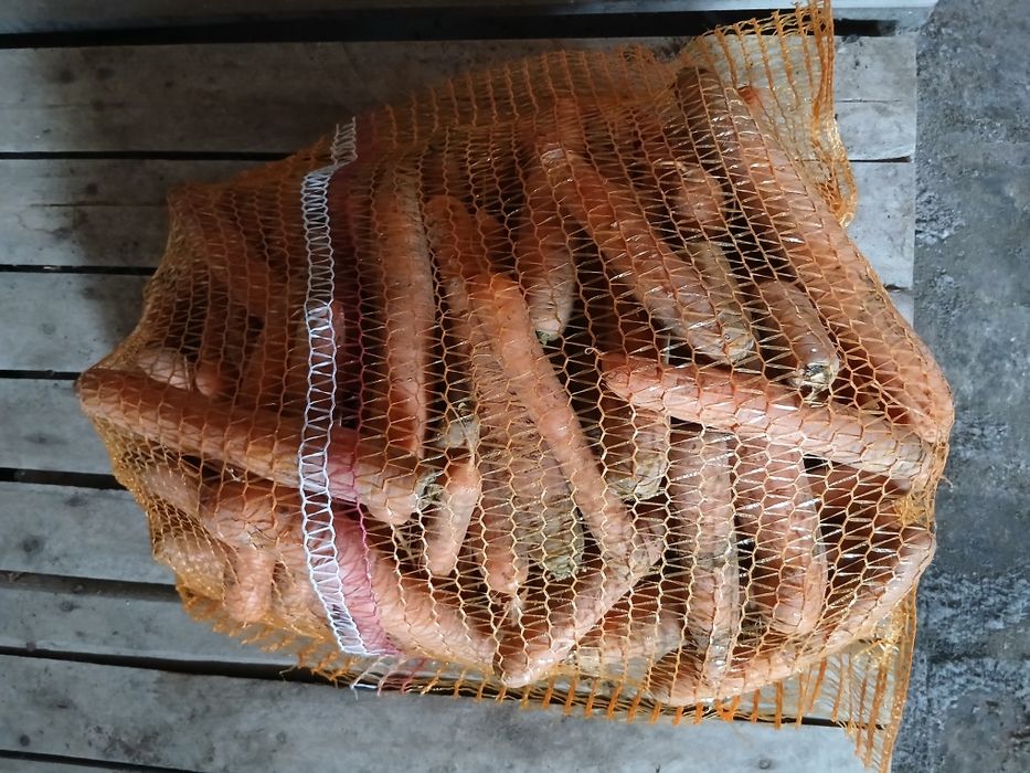 Marchew jadalna 10 kg