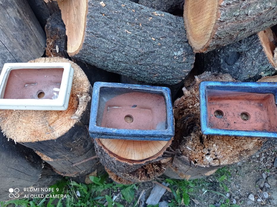 Горщик для бонсай Плошка