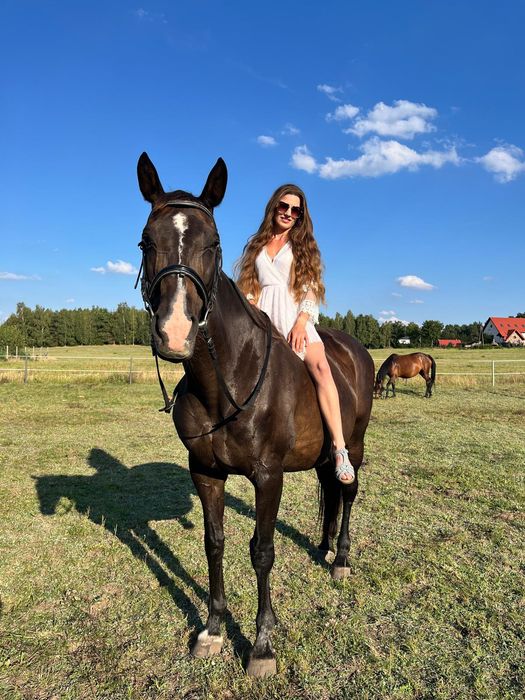 Sprzedam klacz 165cm