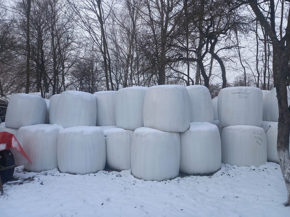 Sprzedam sianokiszonke