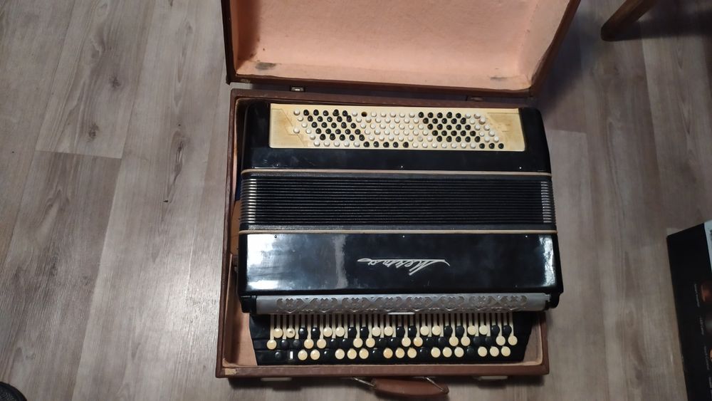 Баян Мічта випуску тих часів