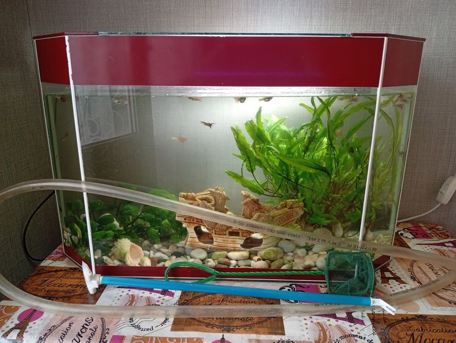 Продам аквариум с рыбками.