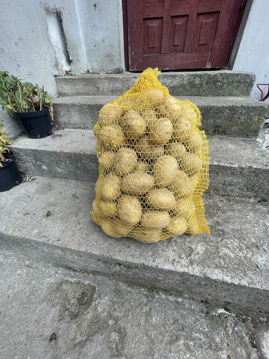 Ziamniaki jadalne żółte