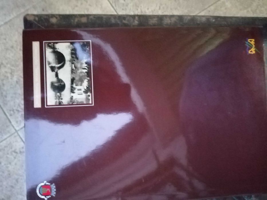 pinceladas torrejanas , joaquim rodrigues bicho , 2000