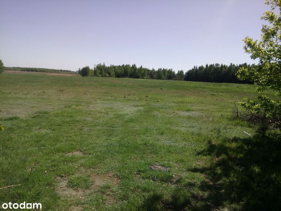 działki budowlane,bezpośrednio tanio - Widok 2