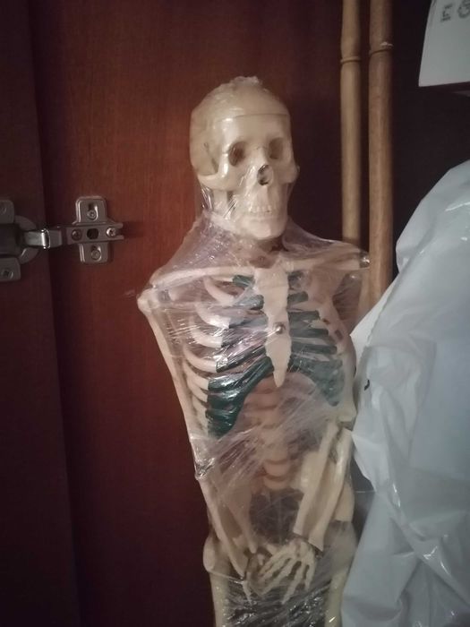 Modelo esqueleto humano 85 cm com suporte, novo