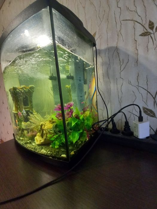 Продам аквариум с рибками