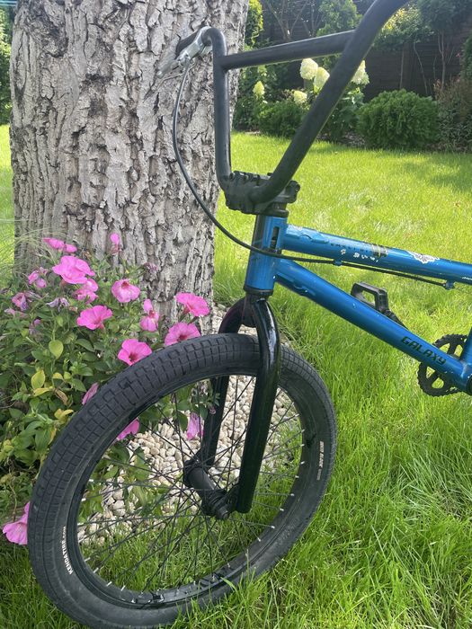Bmx galaxy  earlybird